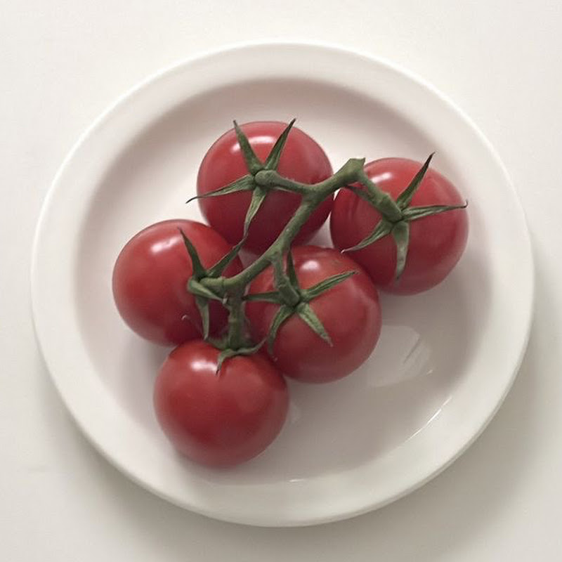 멋쟁이 토마토!  Logo