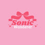 Sonic Wanderer logo