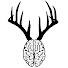 zL5aTunGve8-channel-avatar-DeerBrain