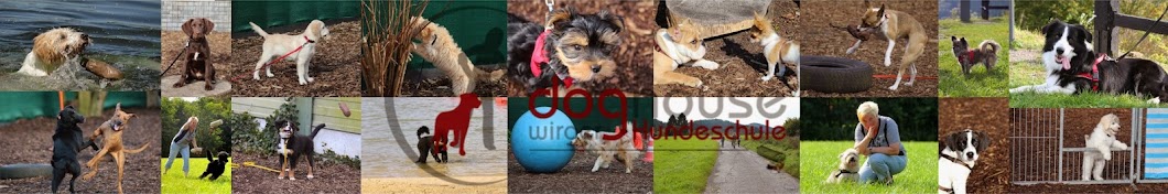 Hundeschule Doghouse YouTube channel avatar