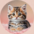 nifIMhYf8_o-channel-avatar-Pawsandwild