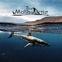 TheMalibuArtist Image Thumbnail