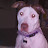 @redneckfromwashington259 Avatar