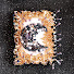 nuxKCnm9YdI-channel-avatar-Moonstone Night