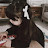 @RenadHossam26