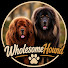 Rx8_UB8qMd4-channel-avatar-WholesomeHound and 2 more