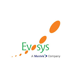 Evosys Global net worth