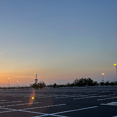 パチンコポケカ日記