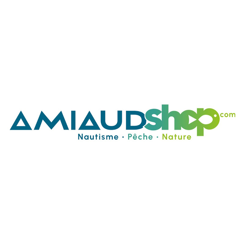 AMIAUDSHOPCOM icon
