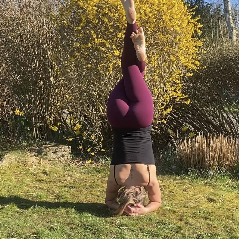 Yoga with Dawn