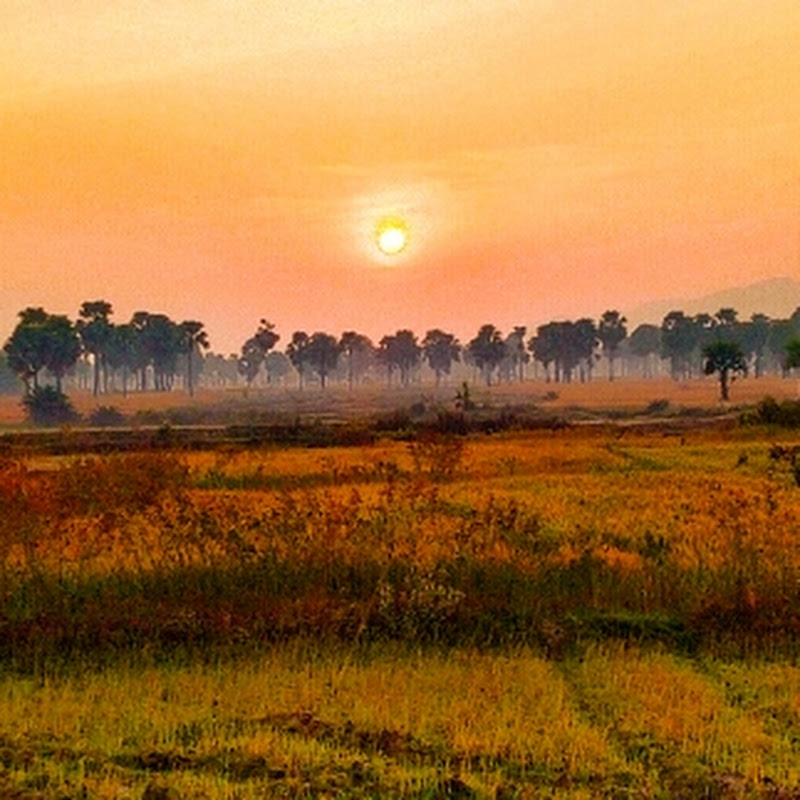 Sky Subham