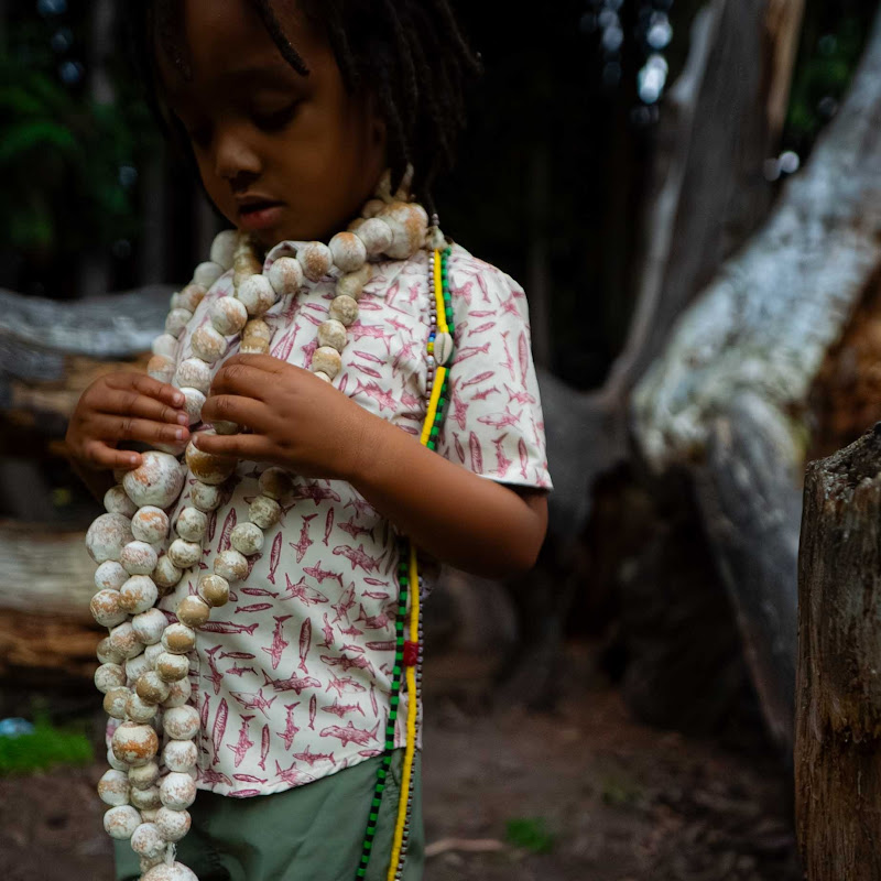 Bandgang Lonnie Bands