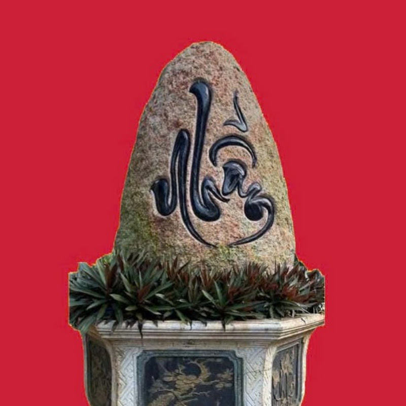 NHẪN ĐỂ DẪN ĐẦU