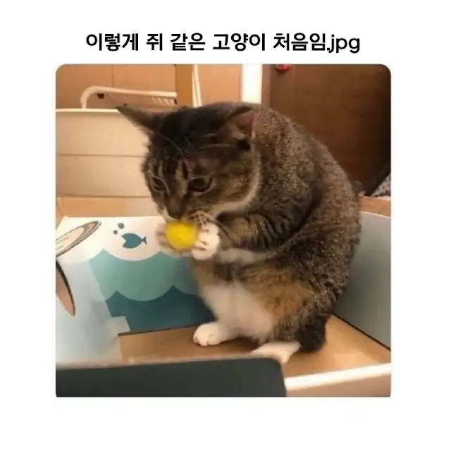 BlockNote image