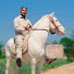M1DNfk2k330-channel-avatar-HORSE IN PUNJAB 
