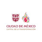 INDISCAPACIDAD CDMX