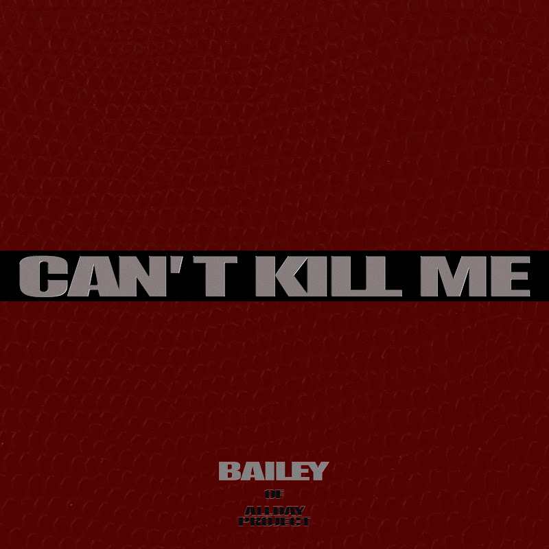 BAILEY - Topic