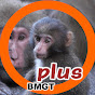 Baby Monkey Got Talent plus