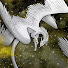 hbz56DJB7OE-channel-avatar-Valyriah