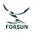 Forsun CNC Router Machine