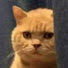 op_ys3Heag8-channel-avatar-Miguelon