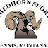sP6BlVh46lk-channel-avatar-ShedhornSports