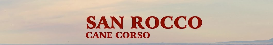 San Rocco Cane Corso Puppies यूट्यूब चैनल अवतार
