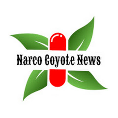 Coyote News avatar