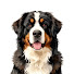 eDxOQ7QyvDk-channel-avatar-K9 Manual