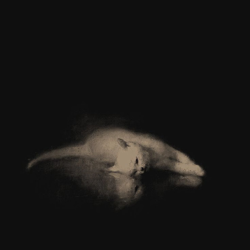 QRYSTRAL @qrystral | Thizzler