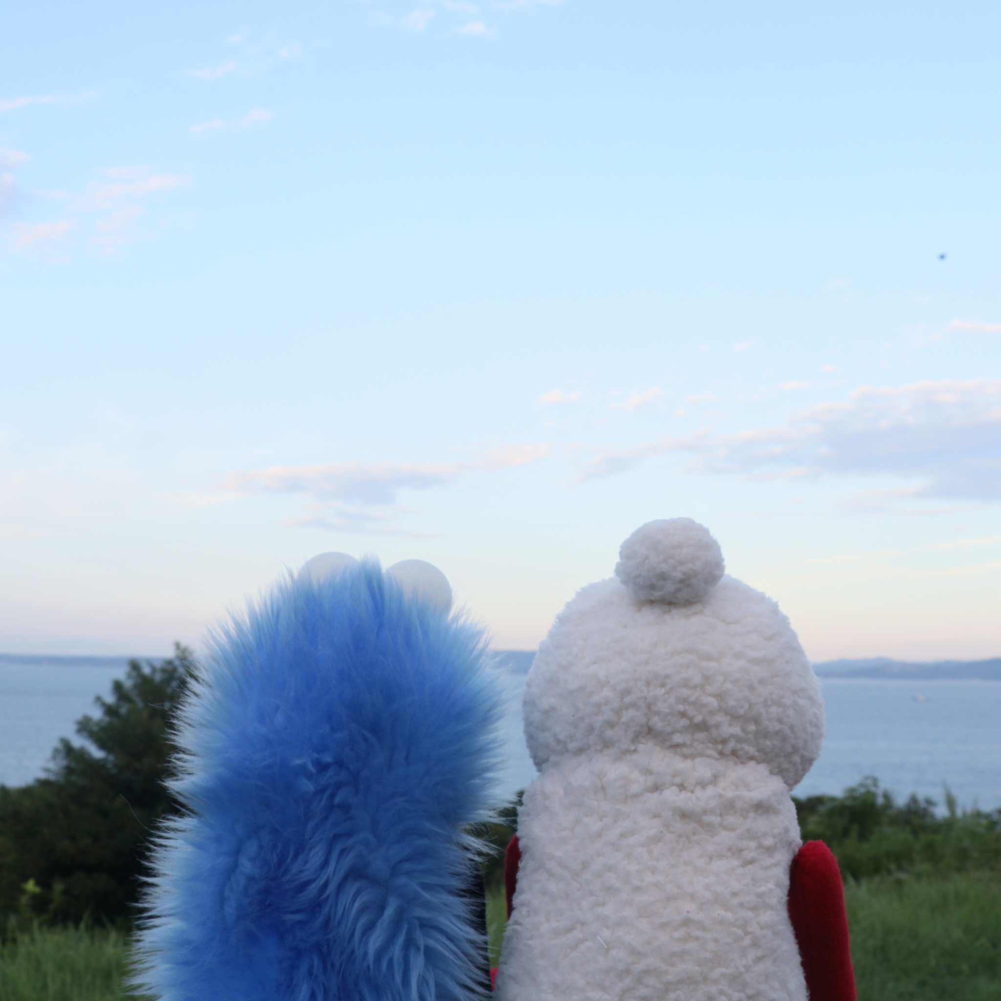 すんすん YouTube