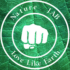 NatureJab net worth