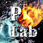 Pラボ -Punch Lab- ～プロ格闘家が格闘技を解説するチャンネル～