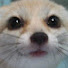 TWolBBVj9YM-channel-avatar-Christ, Pierre