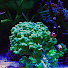 sJx0-3M40RY-channel-avatar-Reef Reality