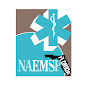 NAEMSP Florida Chapter logo