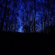 The blue forest