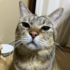 まんまの家パチチャンネル