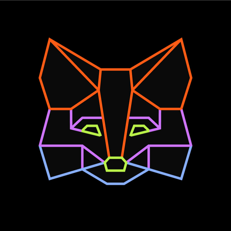 MetaMask Developer