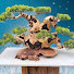 wTV26GWc6Jk-channel-avatar-Lũa decor tây nguyên 