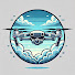 SMq9YQduoQQ-channel-avatar-SkyCrafters and null