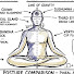 vDAxRrr9uQc-channel-avatar-The Spiritual Observer