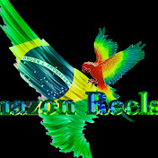 The Amazon Reels