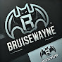 bruiseWayne logo
