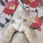 ミクちゃんねる