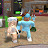 @Zara_roblox14