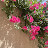 @بلاعنوان-ن3