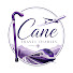 un53U-4N8GU-channel-avatar-Cane Travel Diaries