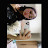@maryamsatr2786