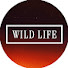 j_JrOaFL1UE-channel-avatar-Wild Life Documentary and 3 more